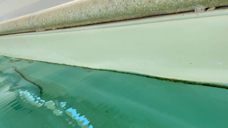 Nettoyage d’un volet recouvert d’algues